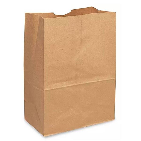 Paper Grocery Bag  12x7x17 DD50  500 Pack