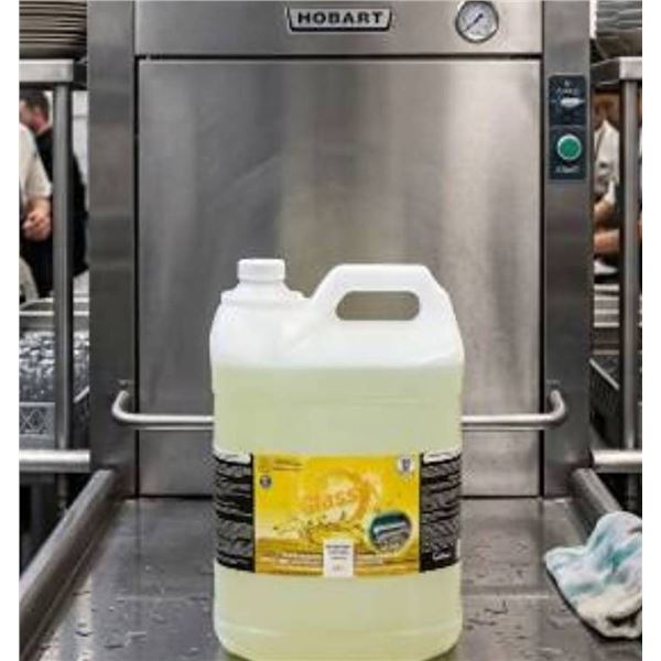 Glassik Dishwasher Sanitizer 10L