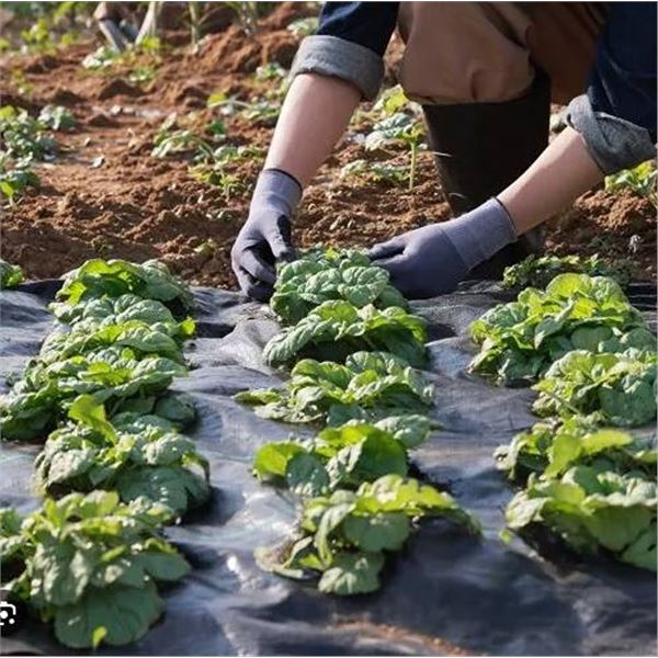 Weed Pro Plus Landscape Fabric 6'x300'