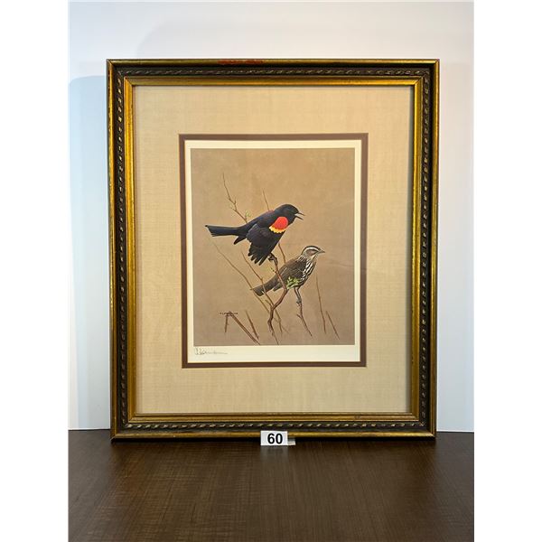 Hand-Signed James Fenwick. Lansdowne Bird Print, Framed