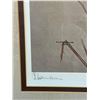 Image 2 : Hand-Signed James Fenwick. Lansdowne Bird Print, Framed