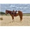 Image 1 : “Dolly” 3 year old Filly