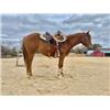 Image 2 : “Dolly” 3 year old Filly