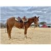 Image 3 : “Dolly” 3 year old Filly