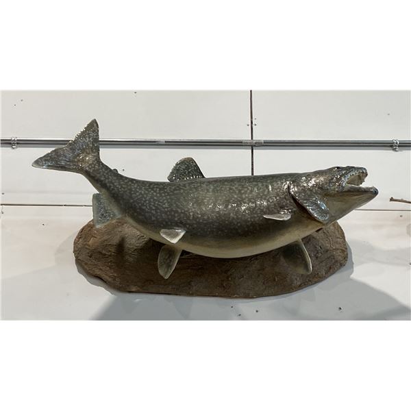 LAKE TROUT MOUNT ON  BASE