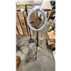 Image 4 : 2 FLOOR LAMPS & 1 RING LIGHT WITH PHONE MOUNTS