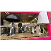 Image 4 : SHELF OF TABLE LAMPS