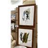 Image 3 : FRAMED BIRD ART, FLY SWATTERS, BAG CLIPS, PAPER & REUSABLE BAGS AND MORE