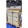 Image 2 : 2 FILING CABINETS