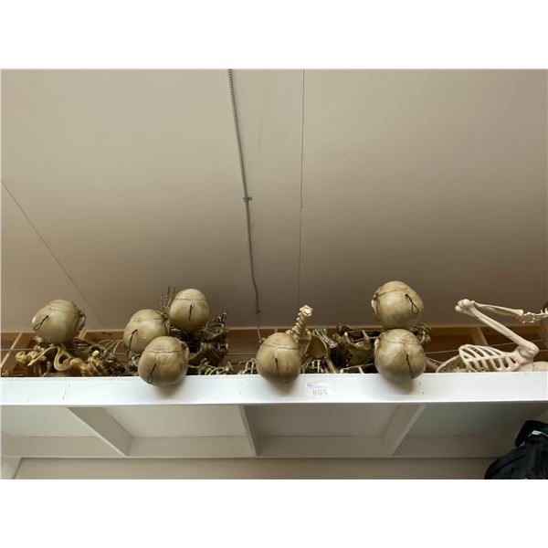 LOT OF ASSORTED PLASTIC SKELETONS