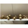 Image 1 : LOT OF ASSORTED PLASTIC SKELETONS