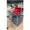 Image 1 : 2 PLASTIC RUBBERMAID COMMERCIAL CARTS WITH UNDERNEATH STORAGE CABINET & MOBILE MOP BUCKET