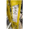 Image 3 : GROUP OF 4 FEATHERLITE FIBREGLASS LADDERS- ASSORTED SIZES 8'- 12'
