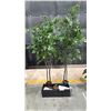Image 1 : 2 ARTIFICIAL DECORATIVE TREES & SMALL PLANTER
