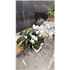 Image 2 : GROUP OF 4 ARTIFICIAL FLOWER PLANTS