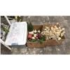 Image 3 : 5 BOXES OF ASSORTED ARTIFICIAL PLANTS, FLOWERS, SOIL & VASES