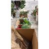 Image 2 : LARGE GROUP OF ASSORTED ARTIFICIAL PLANTS, FLOWERS & DECOR
