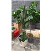 Image 1 : GROUP OF 4 ARTIFICIAL TREES/PLANTS