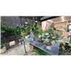 Image 2 : METAL MOBILE TABLE WITH ASSORTED ARTIFICIAL PLANTS *ITEMS ON GROUND NOT INCLUDED*