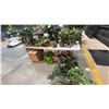 Image 3 : LARGE GROUP OF ASSORTED ARTIFICIAL PLANTS & FLOWERS