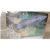 Image 3 : Sealed Dragon Armor LCM (3) Landing Craft Model