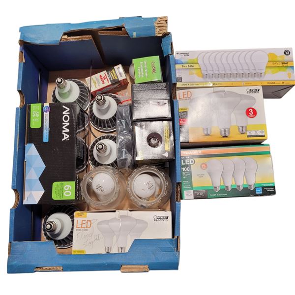 Lot of Assorted Lightbulbs