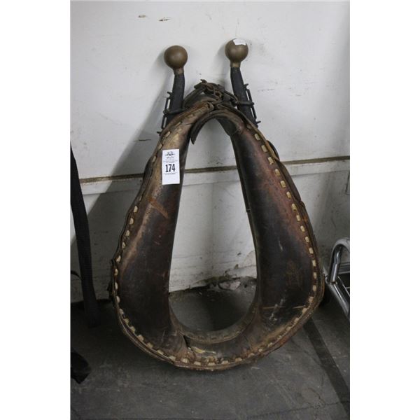 Leather Horse Haines