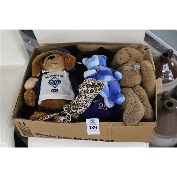 Asst. Souvenir Plush Toys