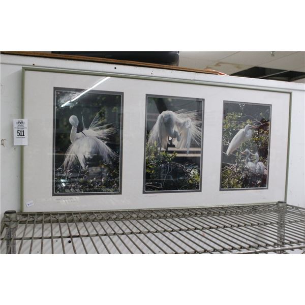 Framed Photos Great White Herons Artist Signed