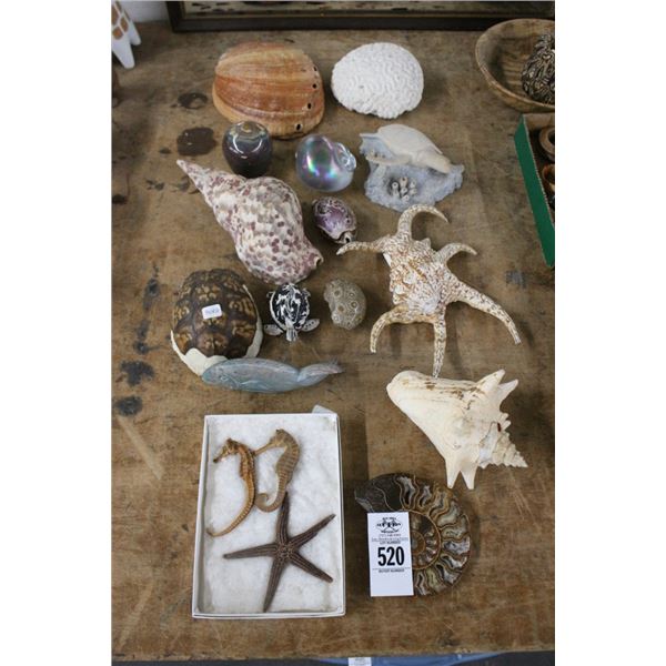 Asst. Sea Shells, Turtle, Conch Paper Weight, Sea Shells, Sea Horse
