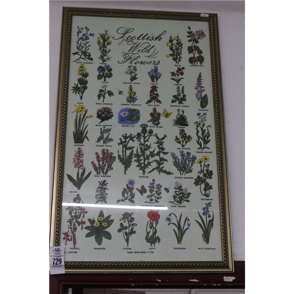 Framed Wall Art Scottish Wild Flowers