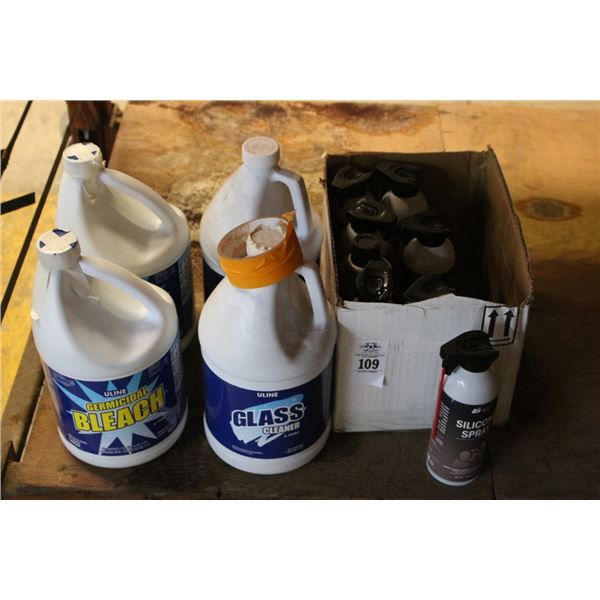 Bleach, Glass Cleaner, Silicone Spray
