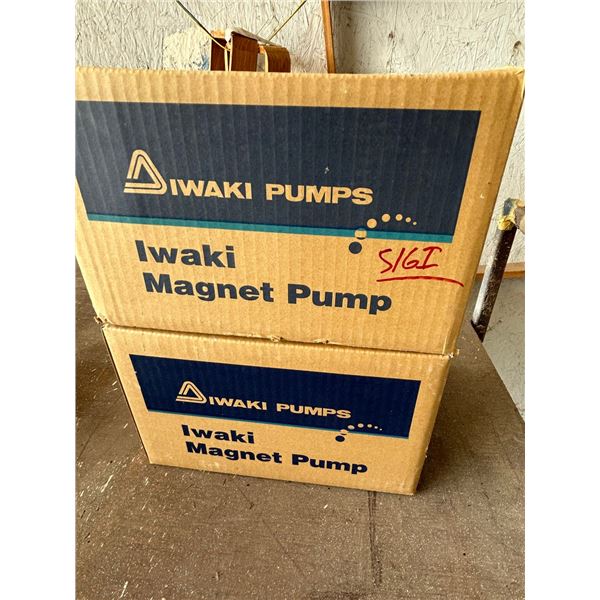 Iwaki Magna Pumps - 2