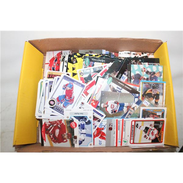 CARD LOT- 1000 COUNT