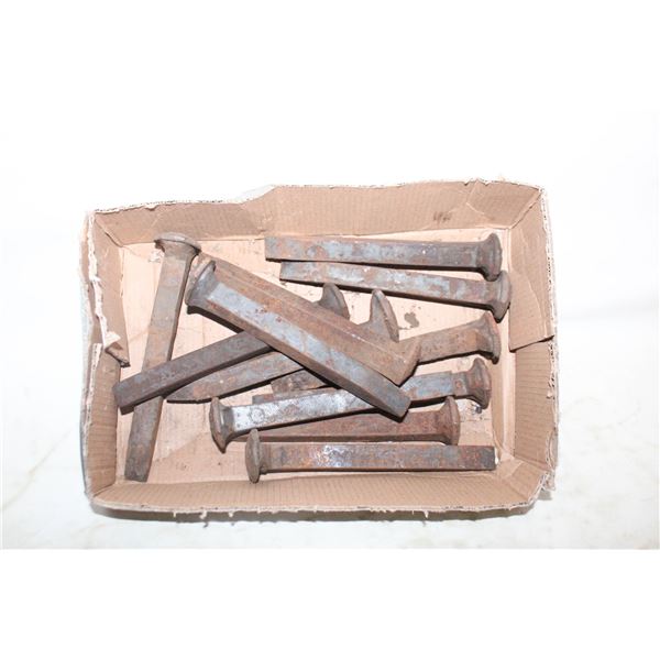 FLAT OF RAILWAY SPIKES