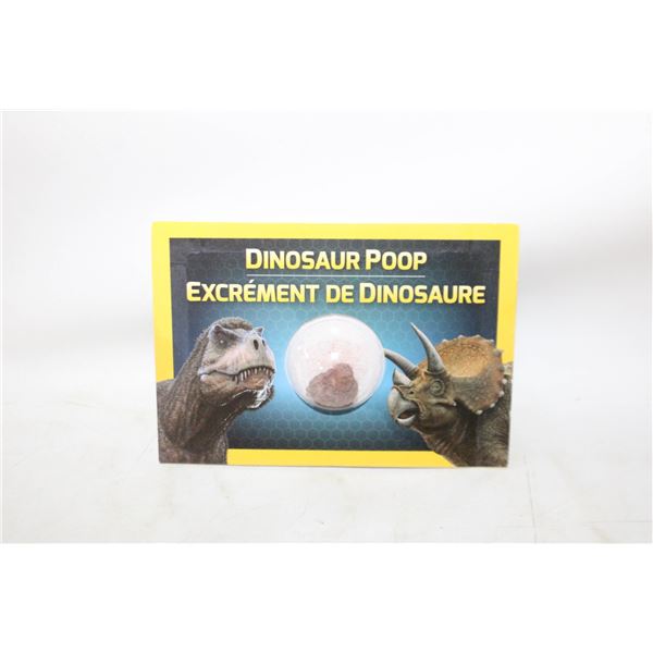 NATIONAL GEOGRAPHIC FOSSIL KIT