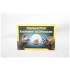 Image 1 : NATIONAL GEOGRAPHIC FOSSIL KIT