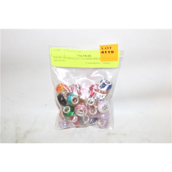 NEW 30 MIXED CHARM BRACELET BEADS