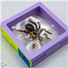 Image 1 : NEW CAT EYE SPIDER BROOCH PURPLE TONE