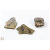 Image 1 : GENUINE COLLECTABLE SPECIMENS