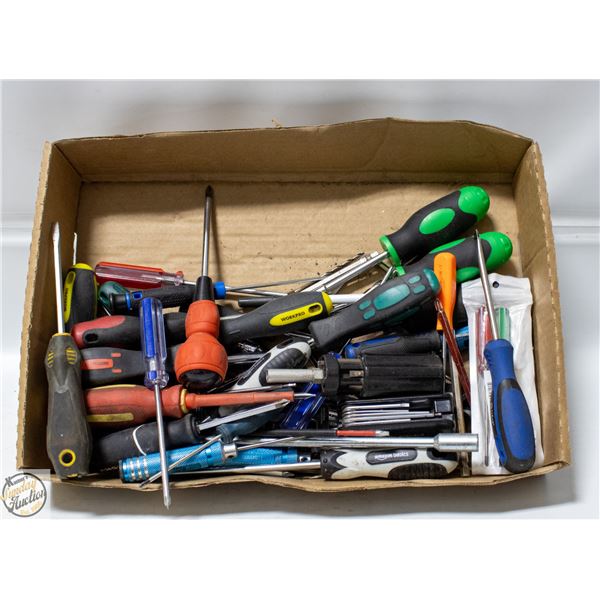 FLAT OF VARIOUS SCREWDRIVERS