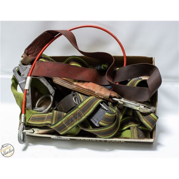 SAFETY HARNESS