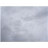 Image 1 : Empty Lot