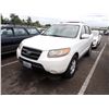 Image 1 : 2007 Hyundai Santa Fe