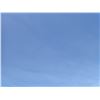 Image 3 : Empty Lot