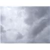Image 1 : Empty Lot