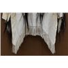 Image 16 : PLAINS SHIRT