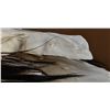 Image 8 : PLAINS SHIRT