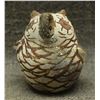 Image 1 : ZUNI OWL (NELLIE BICA)