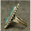 Image 2 : NAVAJO RING (JANE POPOVICH)